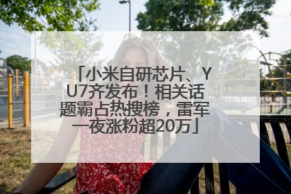 小米自研芯片、YU7齐发布！相关话题霸占热搜榜，雷军一夜涨粉超20万